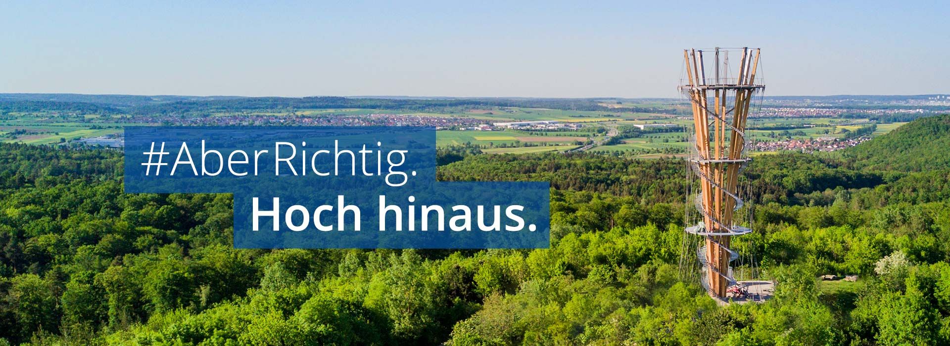 banner_sbt2.jpg